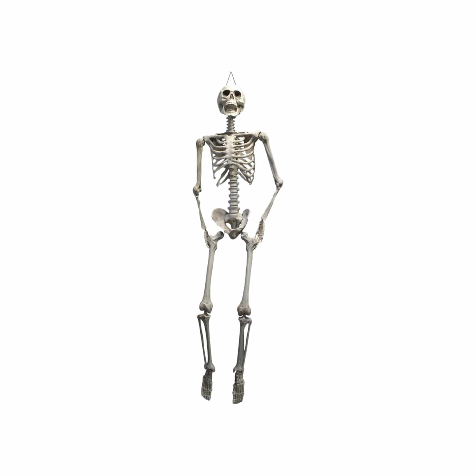 Hänge-Skelett