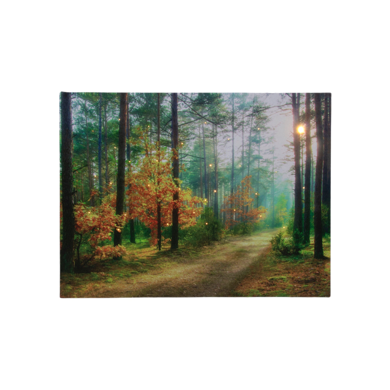 LED-Bilder "Wald"