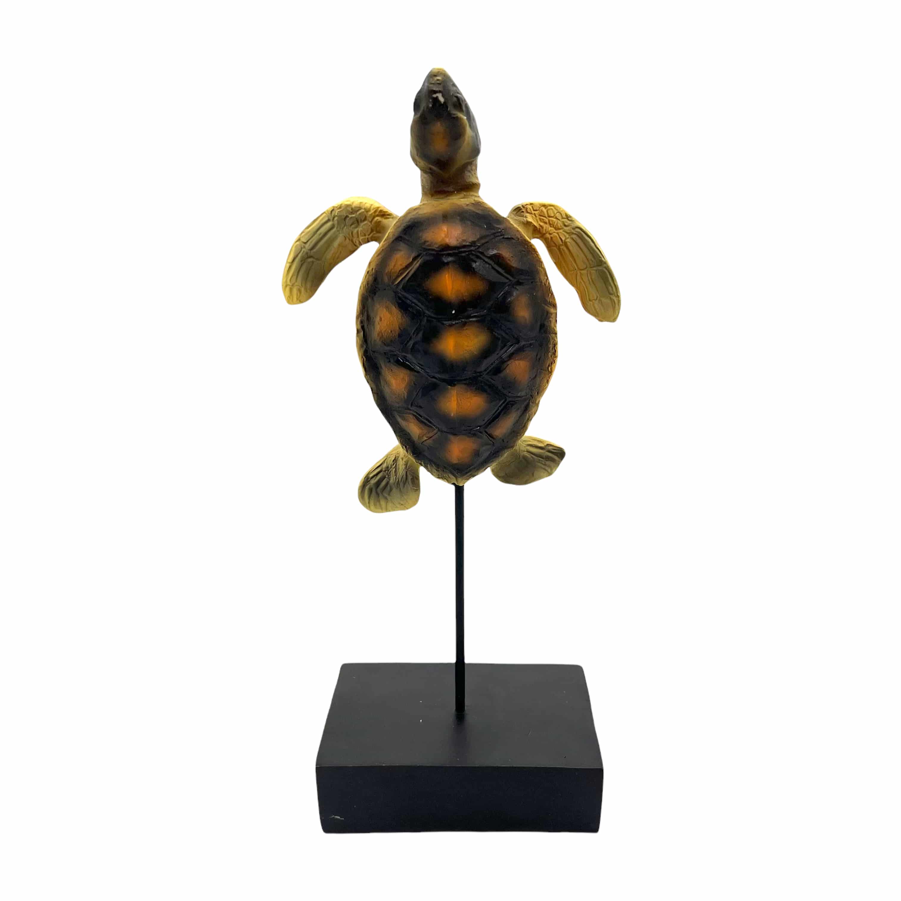 Schildkröte auf Standfuß