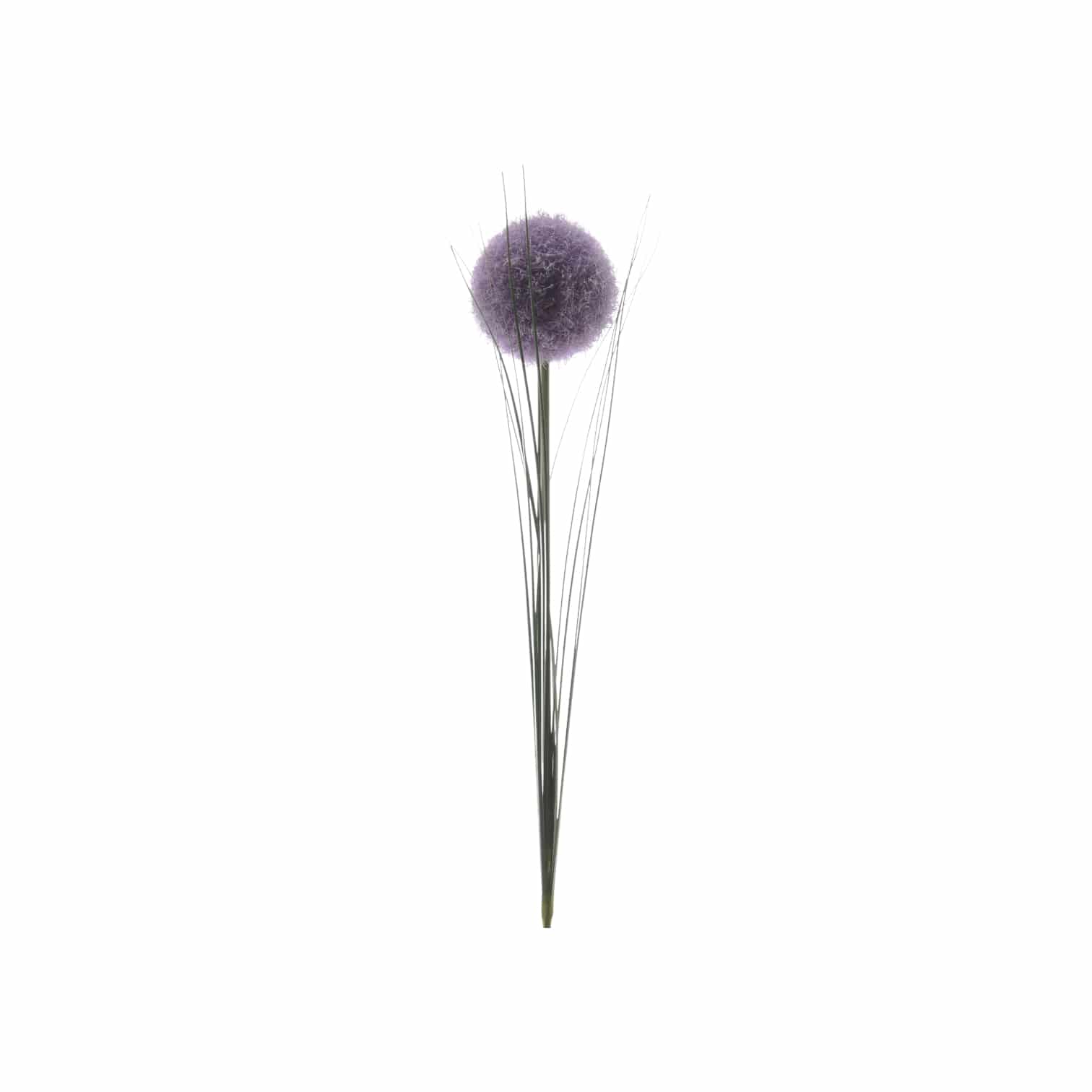 Deko-Zierlauch "Allium"