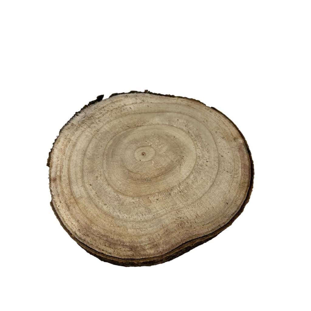 Holzscheibe aus Paulownia - 25x3 cm
