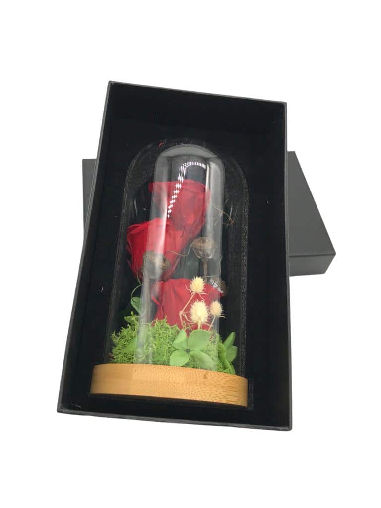 fleurs - Glaskuppel Rosen rot mit Bambusholz