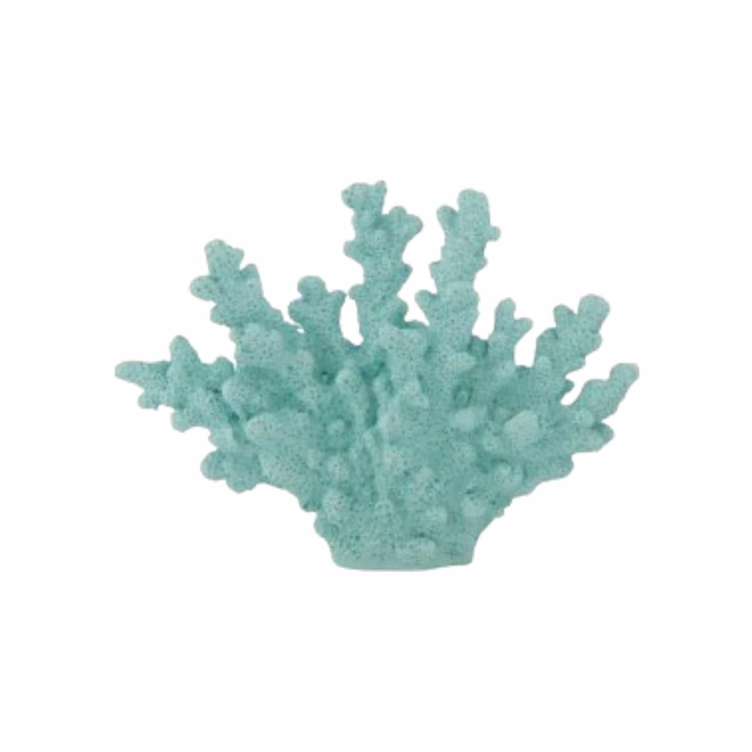 Koralle blau/mint